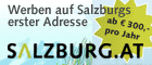 Bild Erfolgreich Werben auf SALZBURG.AT ab 300 EUR im Jahr